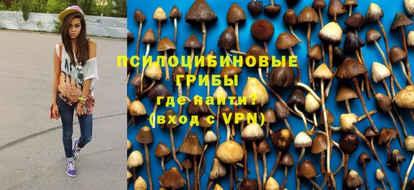 спайс Алзамай