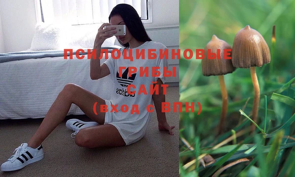 прущая мука Алексеевка