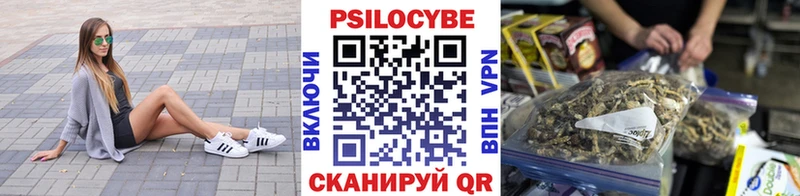 купить наркотики цена  Поронайск  Псилоцибиновые грибы ЛСД 